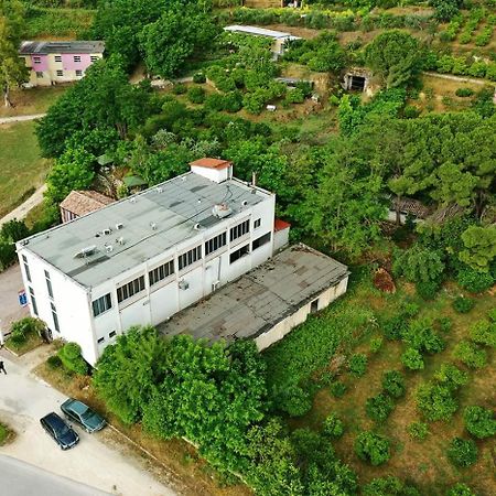 "Frogs House" Hotel & Restorant Slow Food Lushnjë Exterior foto